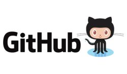 GitHub GitHub