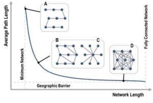 network_plot
